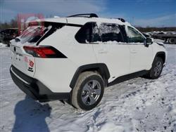 تۆیۆتا ڕاڤ 4